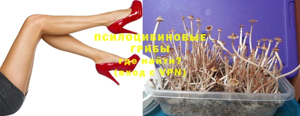 молекула духа Аркадак
