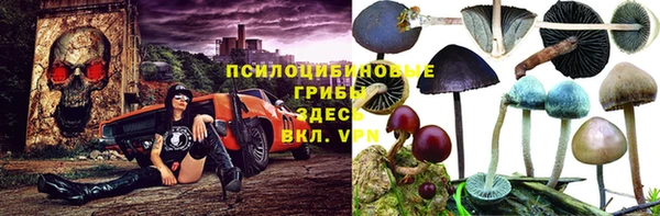 MESCALINE Арсеньев
