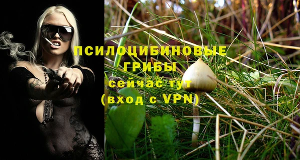 прущая мука Армянск
