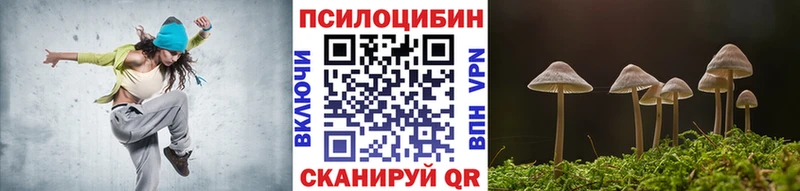 Псилоцибиновые грибы MAGIC MUSHROOMS OMG сайт Нововоронеж