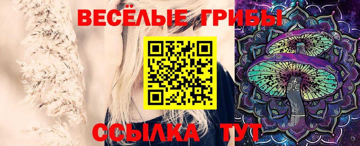 Псилоцибиновые грибы ЛСД Нововоронеж