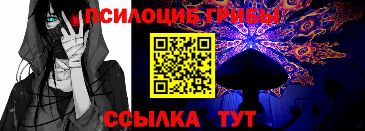 Псилоцибиновые грибы Magic Shrooms  Вход с VPN  Псилоцибиновые грибы MAGIC MUSHROOMS  Нововоронеж 