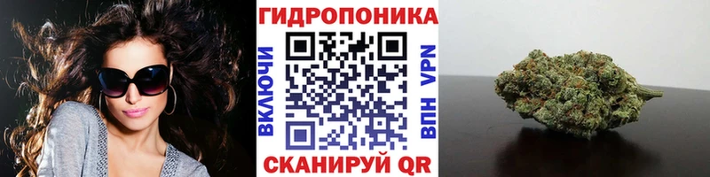 Шишки марихуана MAZAR Нововоронеж